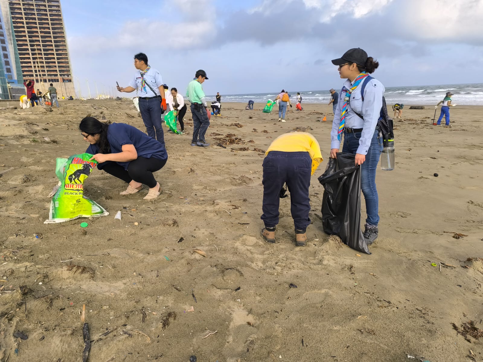 Actividad del subcomité de Protección ambiental