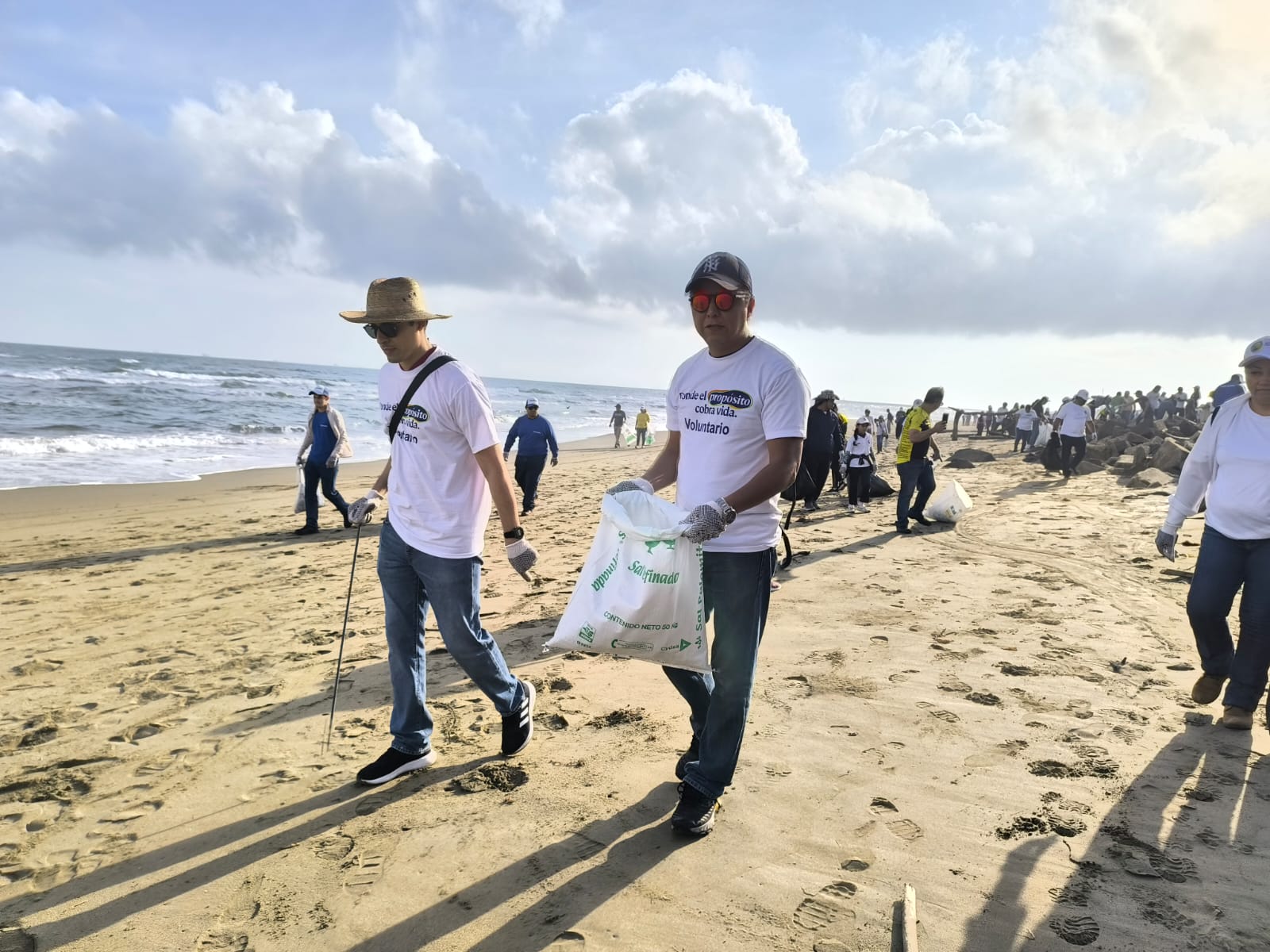 Actividad del subcomité de Protección ambiental