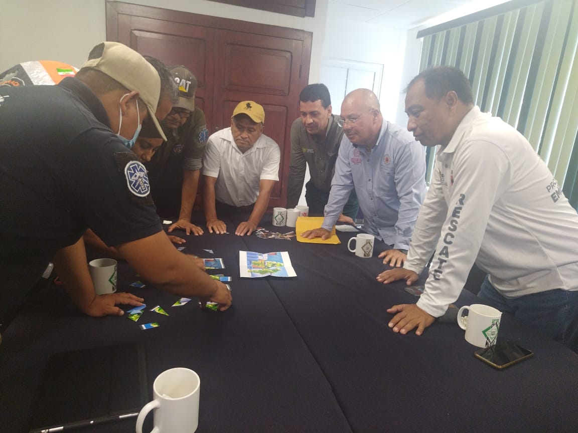Actividad del subcomité de Protección civil